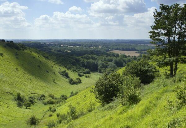 Self guided walk on Wye National Nature Reserve and Crundale Downs