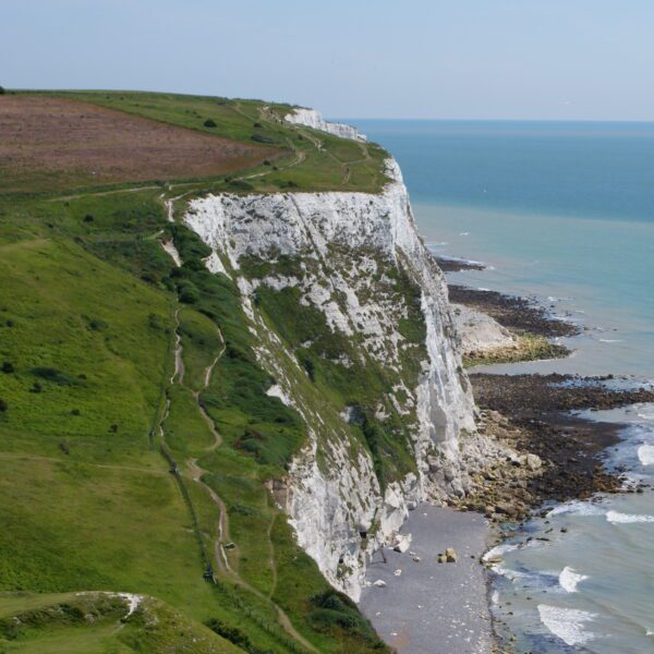 White Cliffs of Dover, with grass on top of cliffs and sea below, on a sunny day.