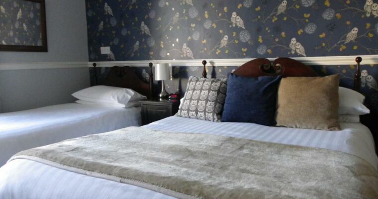 Double bed and single bed, with feature wall, accommodation at Maison Dieu.