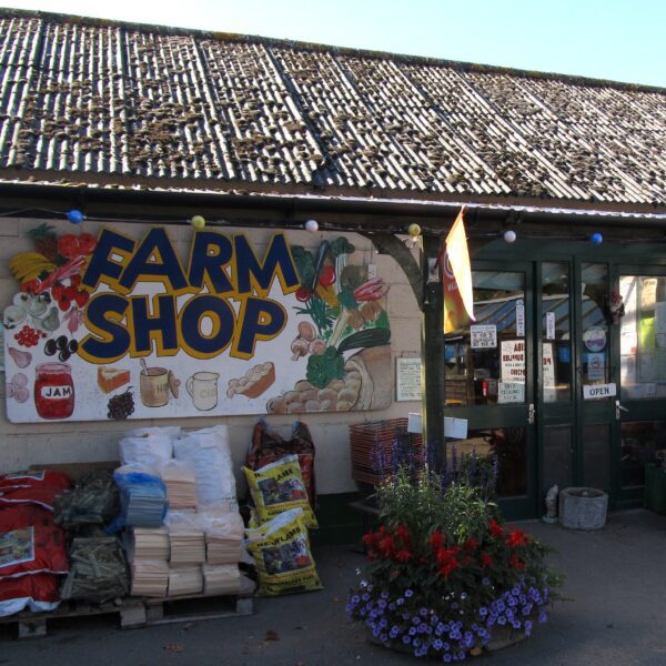 Outside of Potten Farm Shop with colourful plants, wood, kindling and fresh produce.