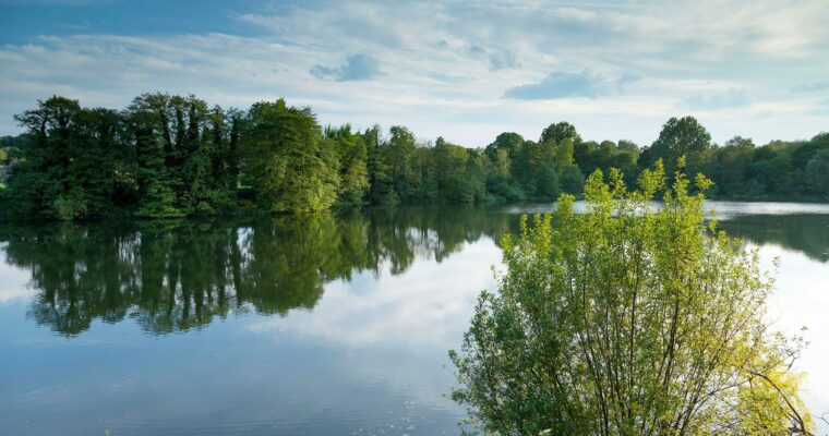 Sevenoaks Wildlife Reserve
