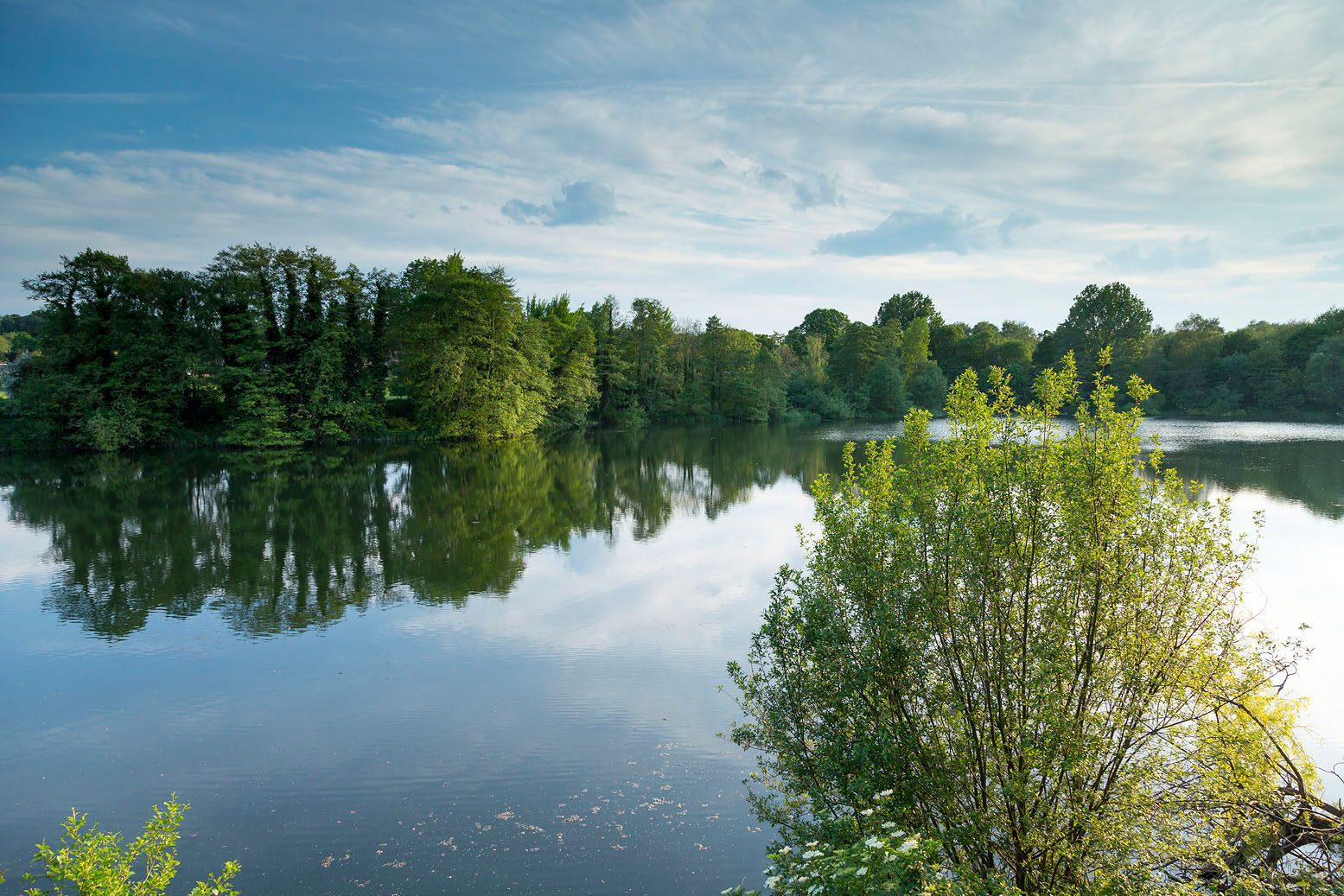 Sevenoaks Wildlife Reserve