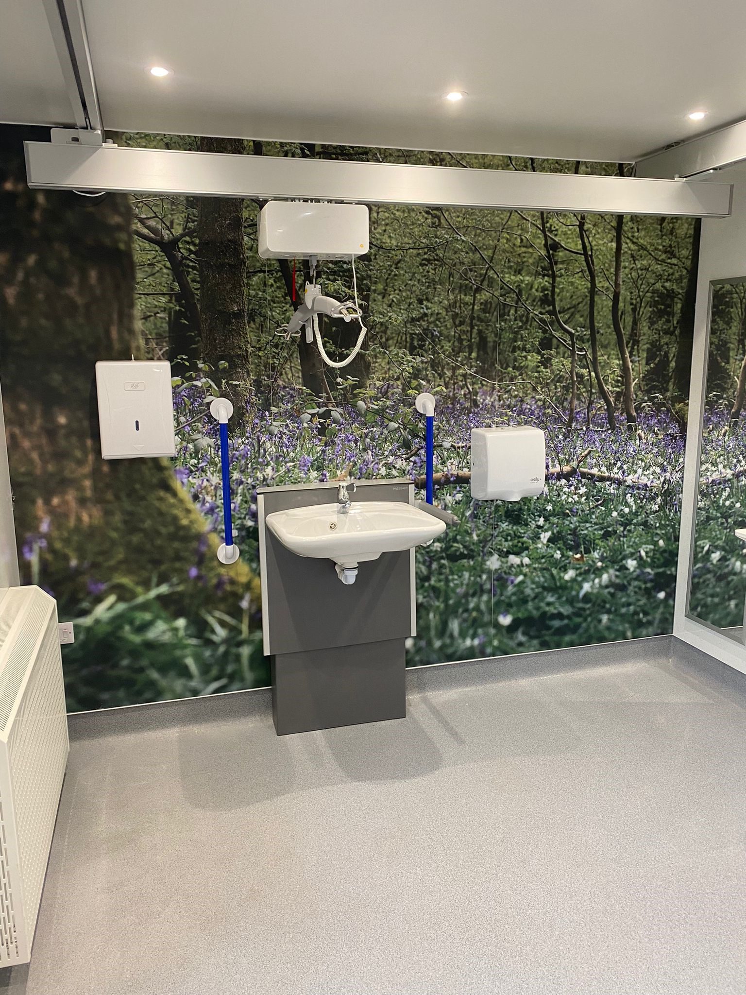 Sink against wall with bluebell woodland scene in accessible toilet.