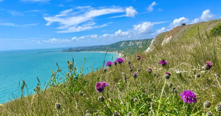 View across Folkestone coastline. With wild meadow in foreground, sea on left and coastline on right. Sunny day.