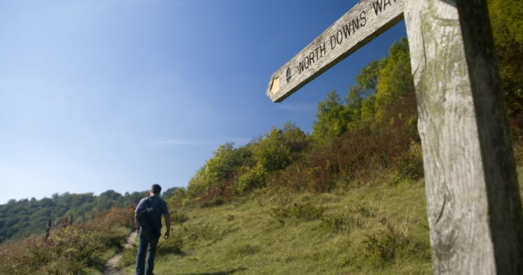 North Downs Way wooden sign, with person walking in distance across grass field. Sunny day.