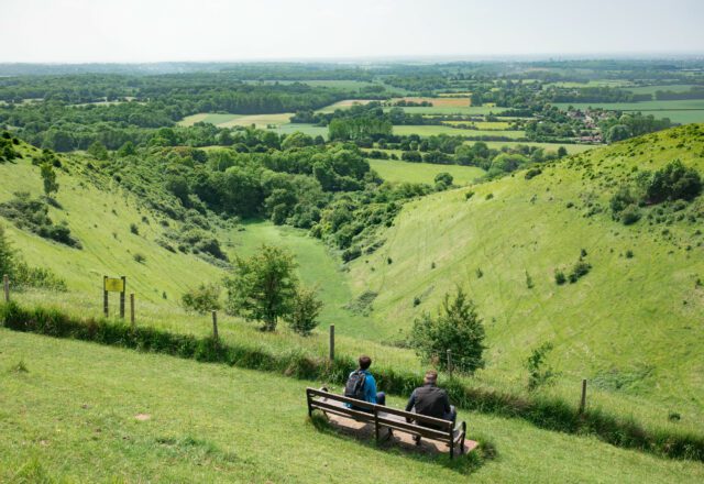 Grass fields and woodlands view of Wye Downs, with two people sitting at a bench.