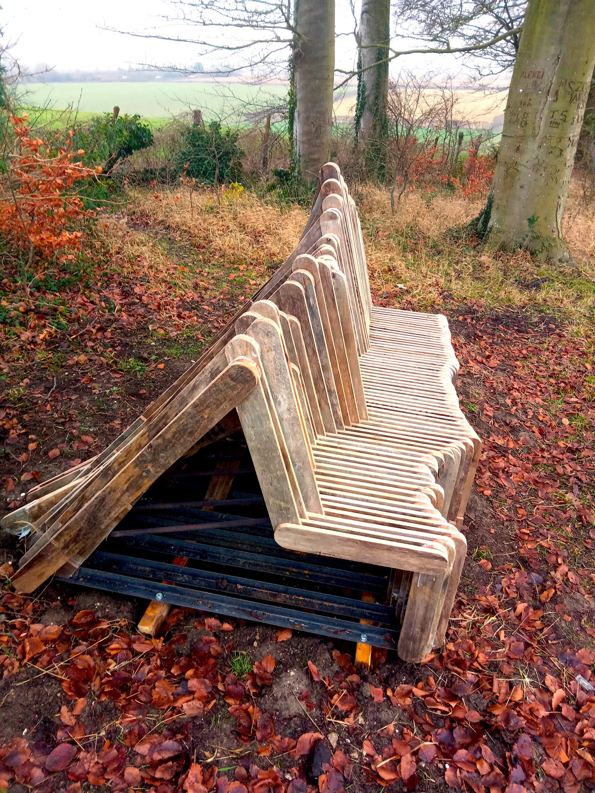 Autumn day, with trees and fields in the distance and Feel Our Voice sculptured bench in foreground.