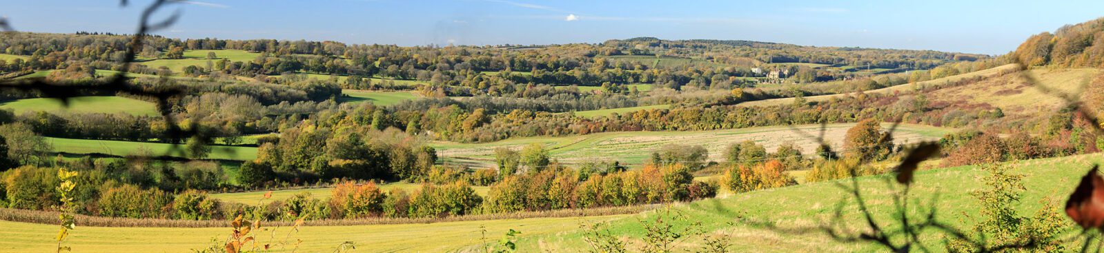 Grass fields, farm lands and woods view over Stour Valley Walk. Blue sky, in Autumn.