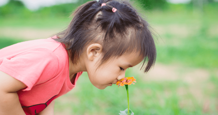 Young child leaning down to smell a flower.