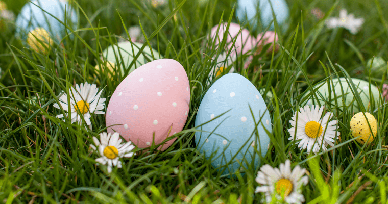 Close-up Easter eggs in green grass with daisies. The eggs are pink and blue with white spots.
