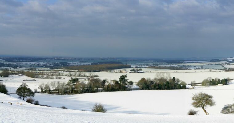 Snow covering view of Farthing Common. With trees and blue skies.