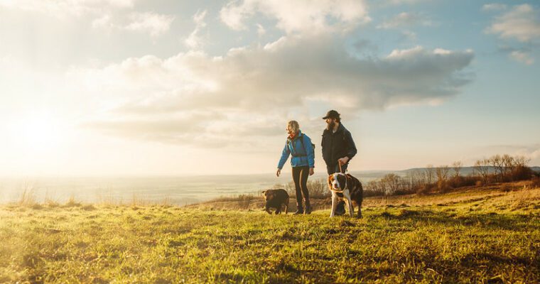 Stour Valley Walk