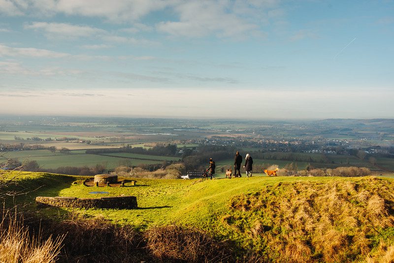 A family walks four dogs on top of a hill, with panoramic views of countryside behind