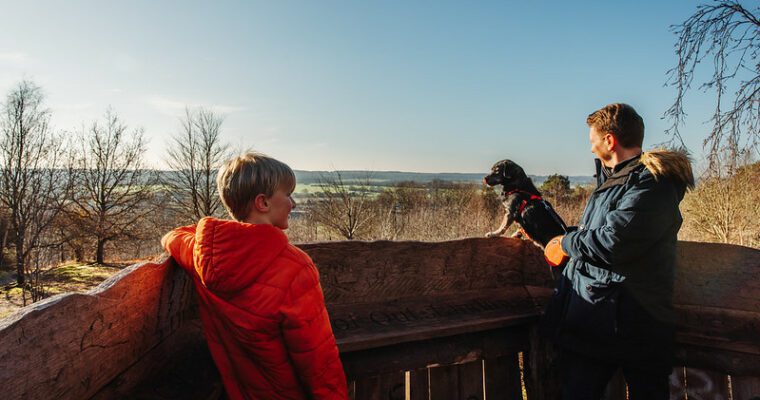 Chilham Walk Lost Landscapes (West)