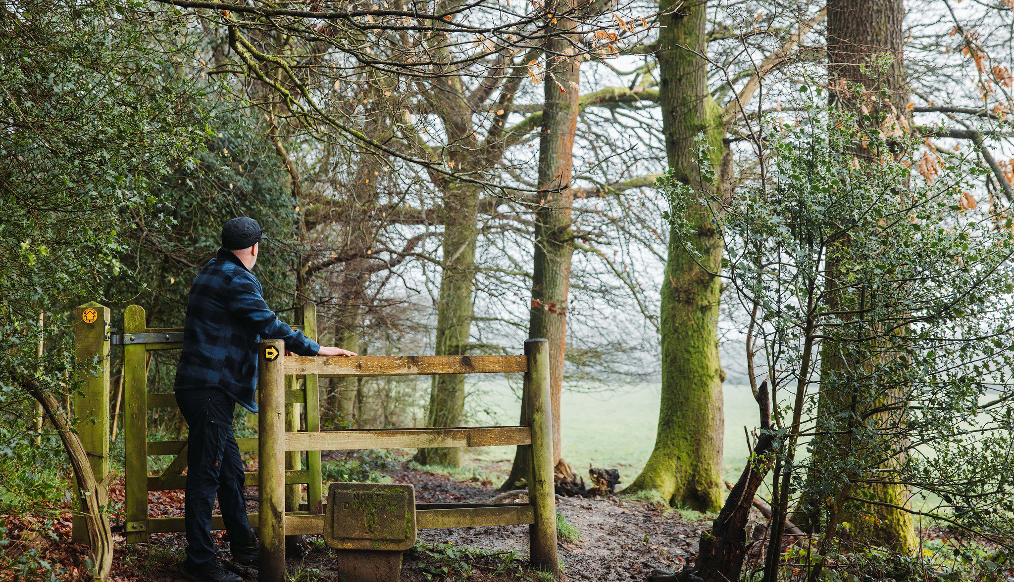 Person on edge of woodland leaning on wooden gate