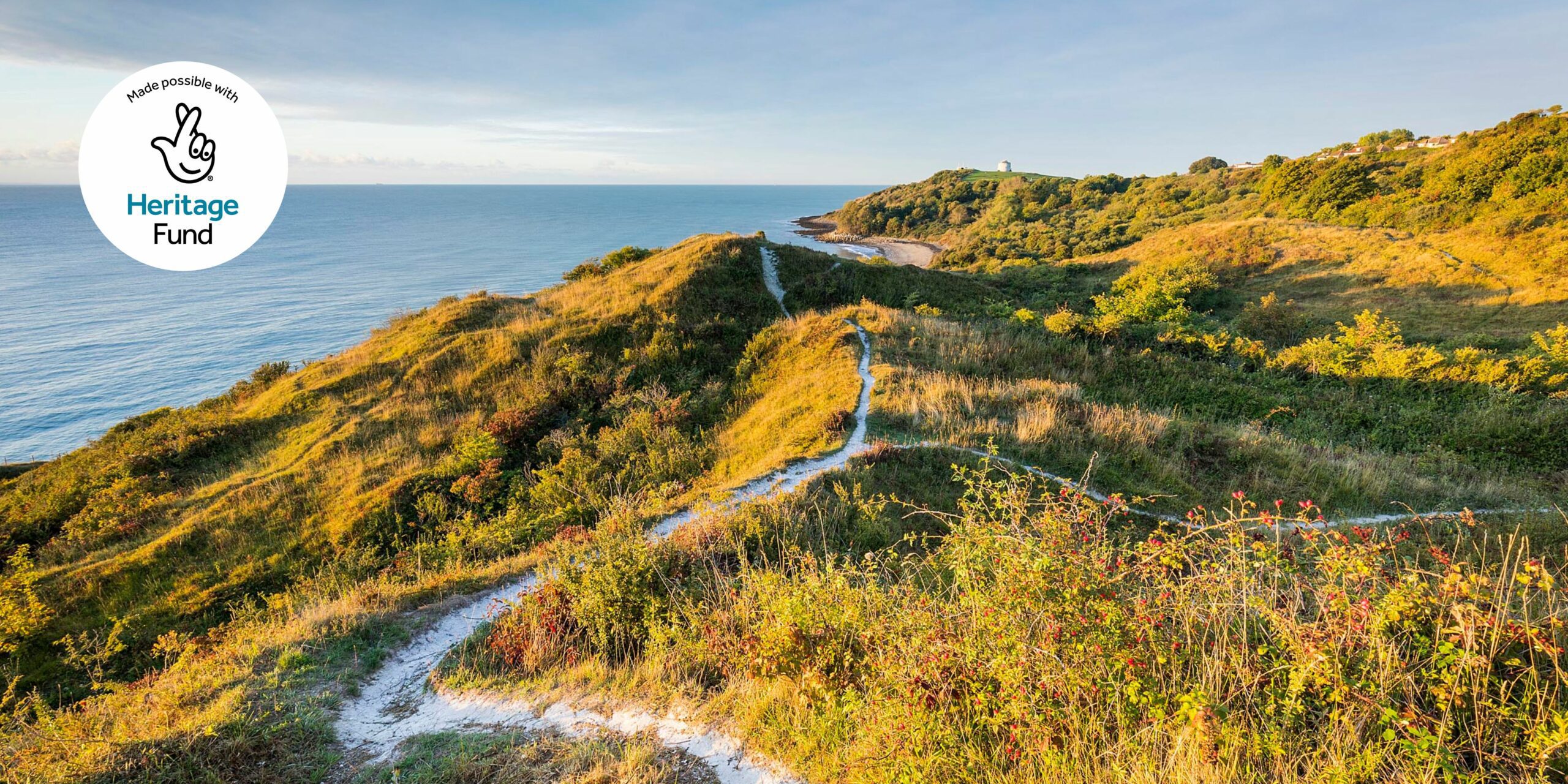 Chalky paths in The Warren, Alex Hare