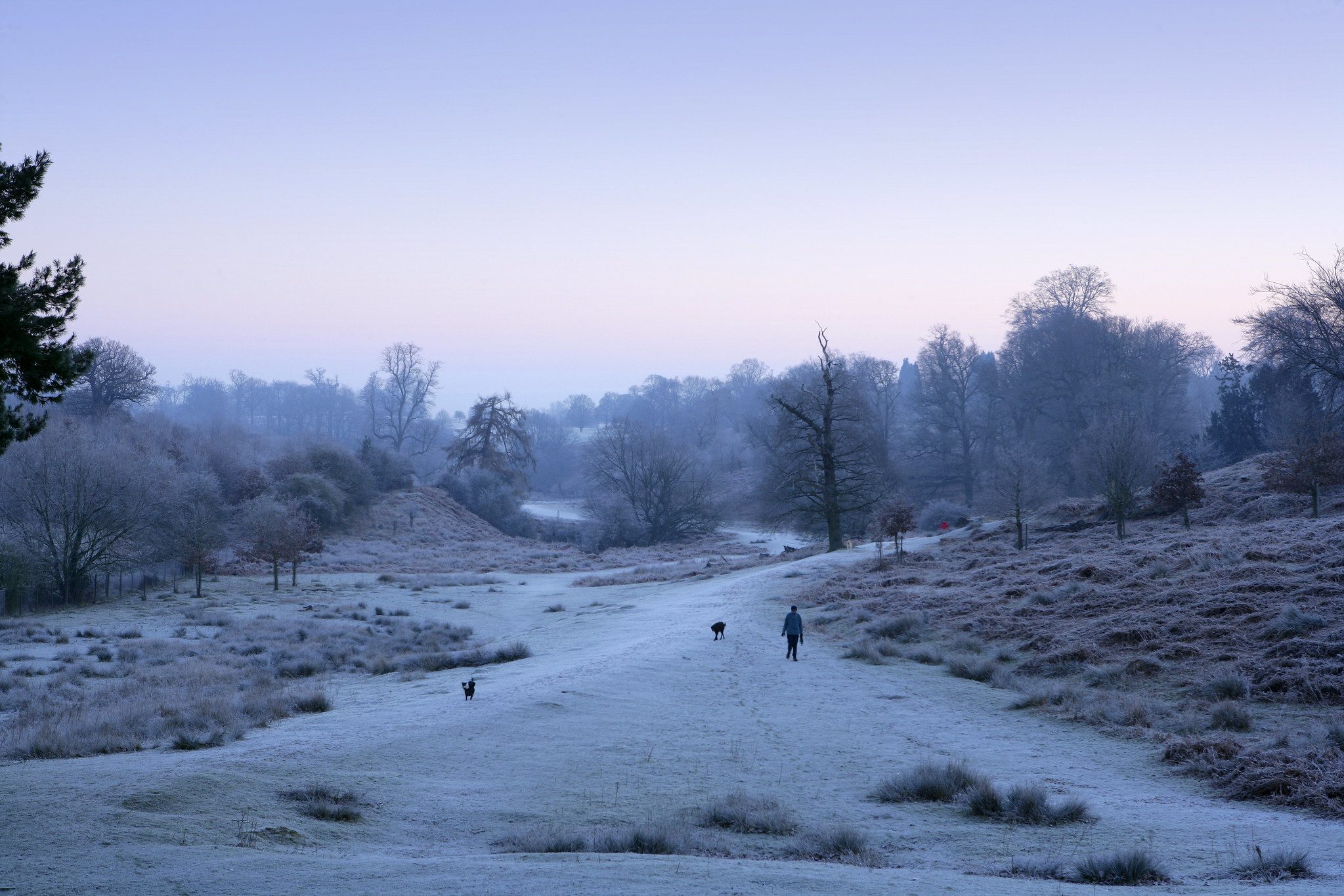 Footpath through wintery parkland at dusk