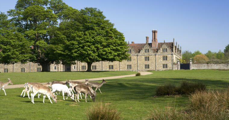 Deer grazing in parkland in front of large country house