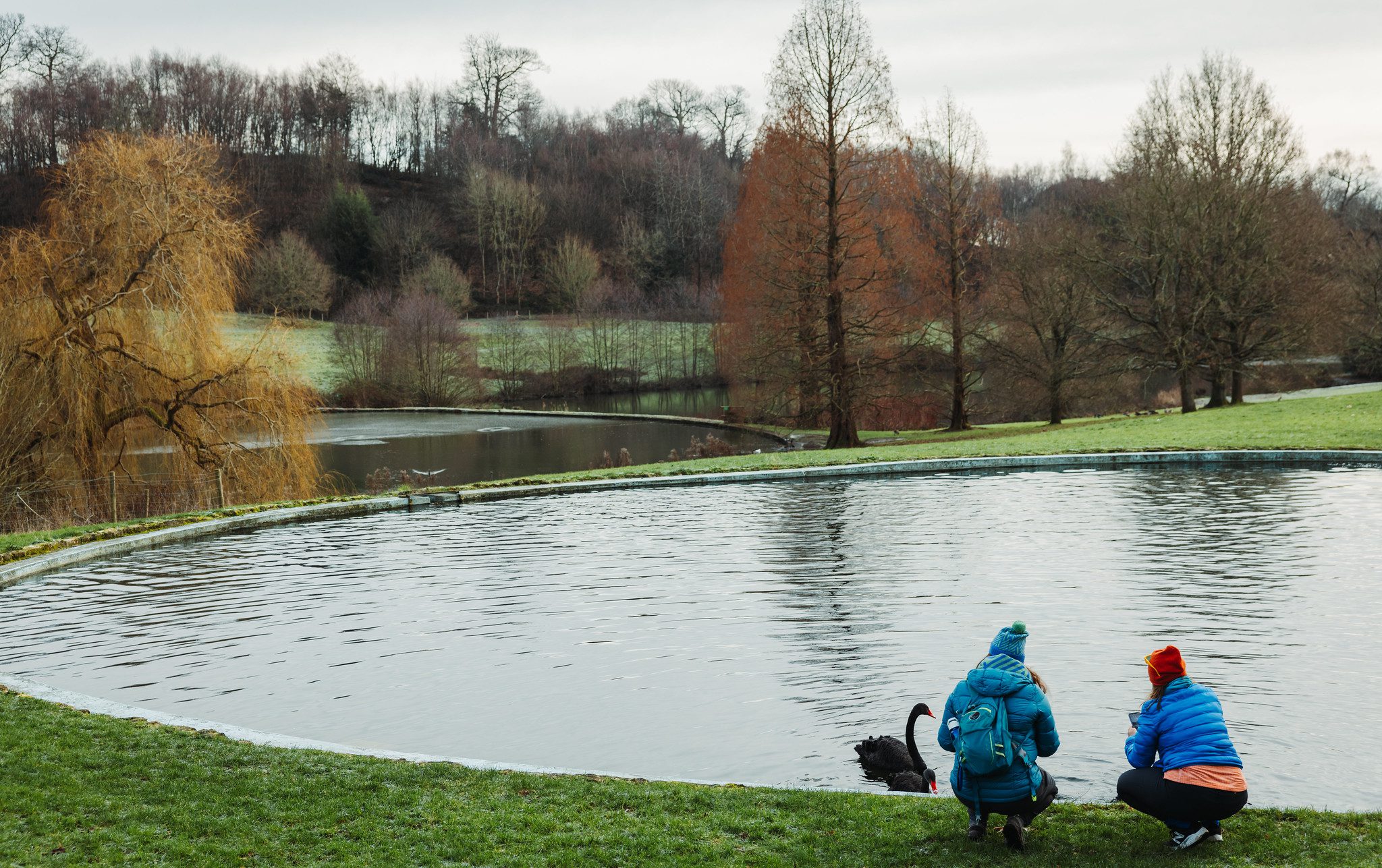 Two women crouched at edge of pond feeding swan in winter