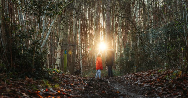 Father and sun standing in dark woodland, backlit by sun
