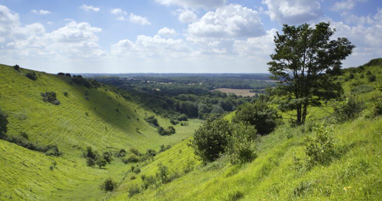 Steep sided, chalk grassland valley with far reaching views.