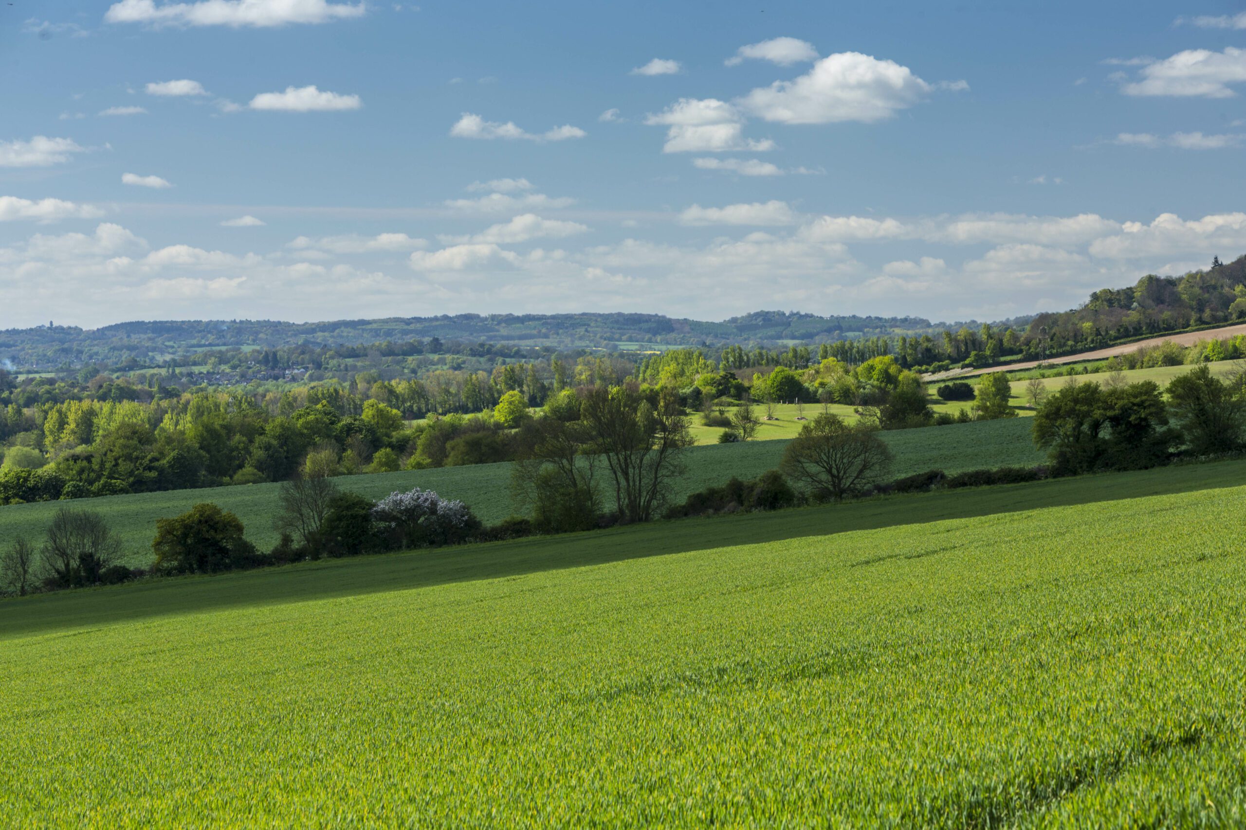 Landscape panorama of green fields and blue skies