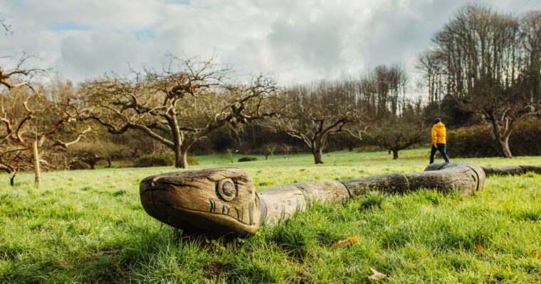 Man walking in orchard behind giant wooden snake sculpture