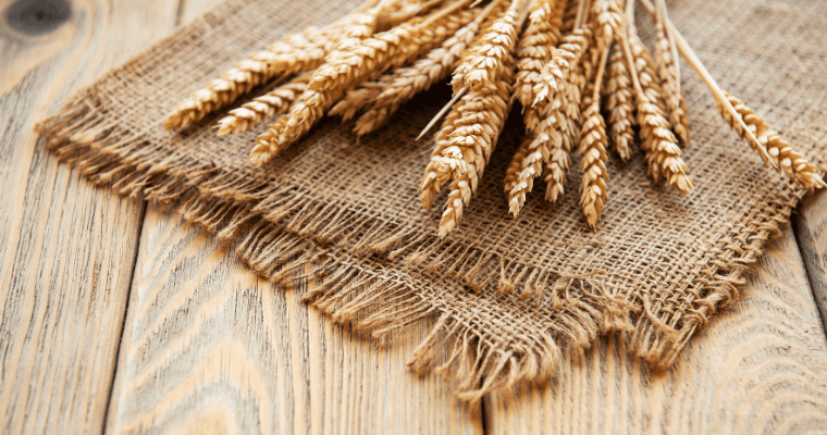 Wheat arranged on hessian sack on table