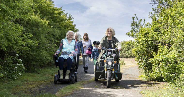 Group of people, including mobility scooters on a trail between hedgerows