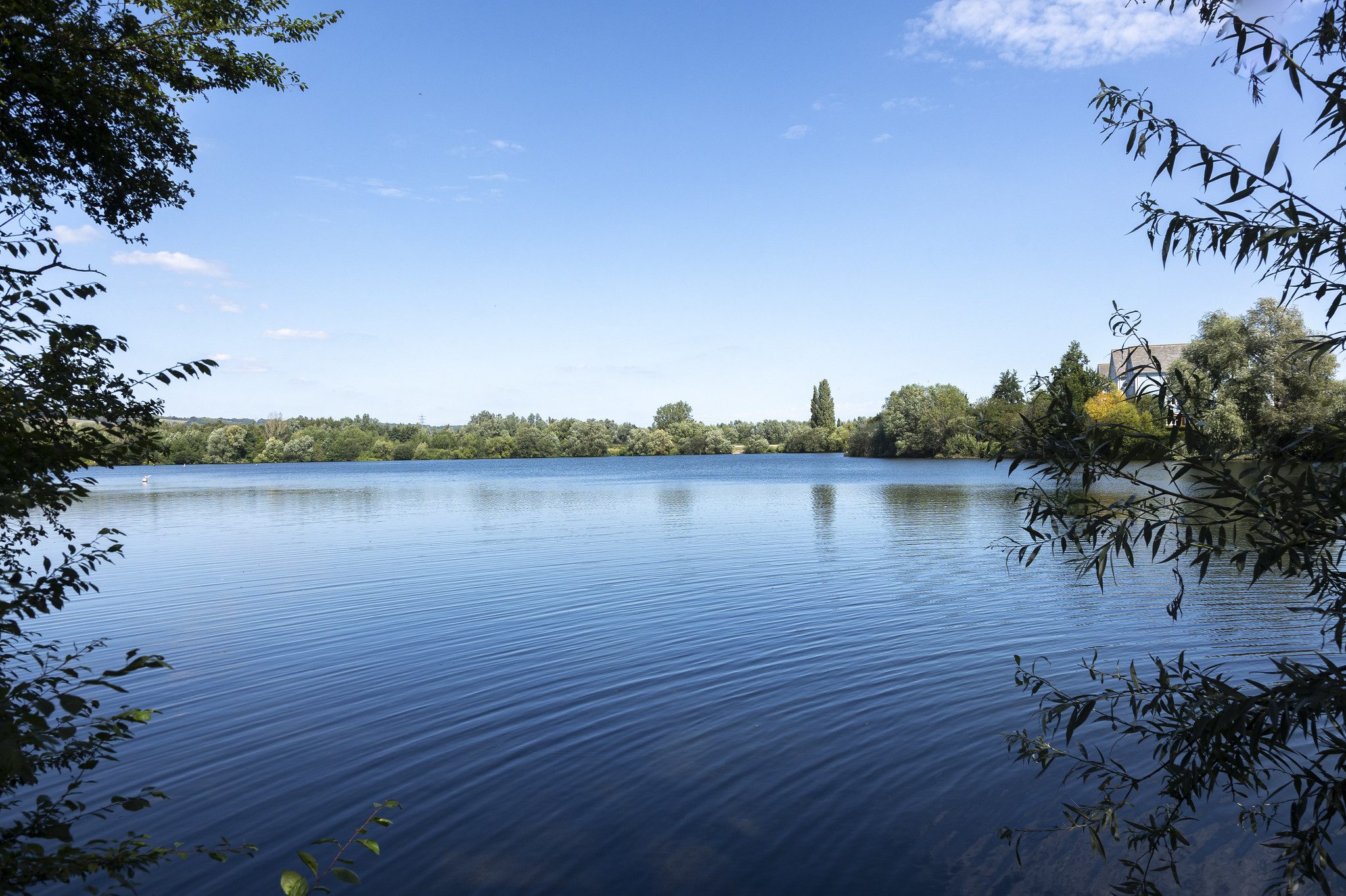 View across vivid blue waters of Leybourne Lakes