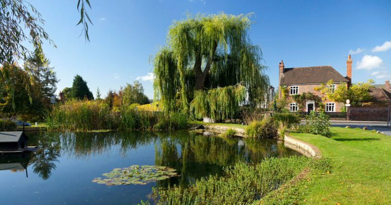 Pond with weeping willow and country house on a blue sky day