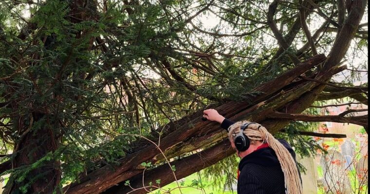 Sound artist Paul Cheese recording the trees of the darent valley to capture their sounds