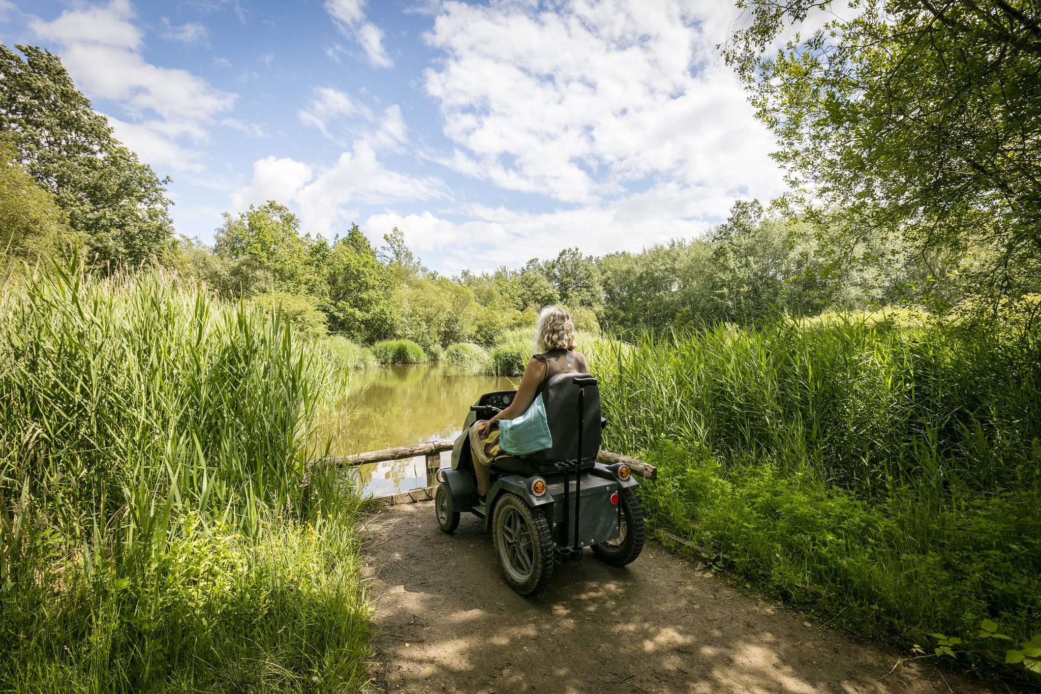 Woman in a mobility scooter looking over lake surrounded by greenery
