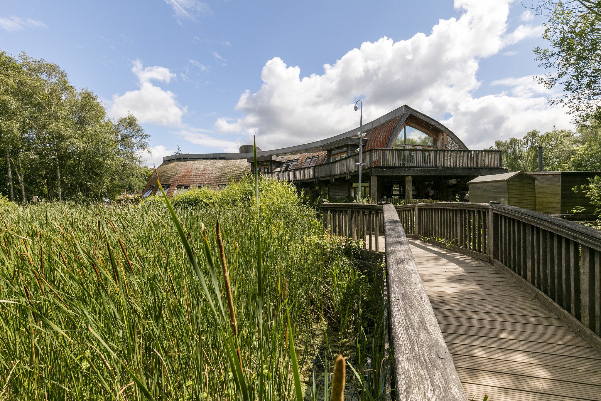 Board walk leading to wooden visitor centre with rushes