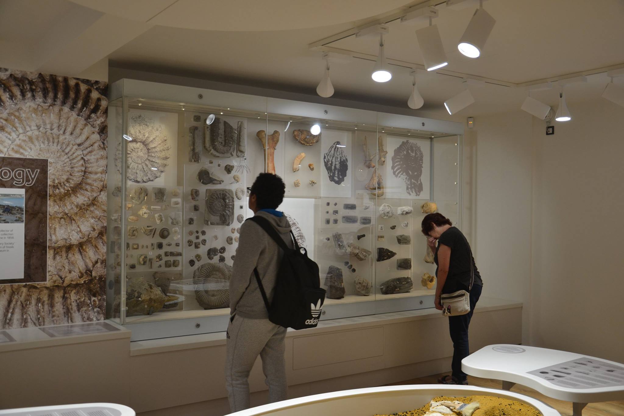 Two people looking at geological exhibition in a museum
