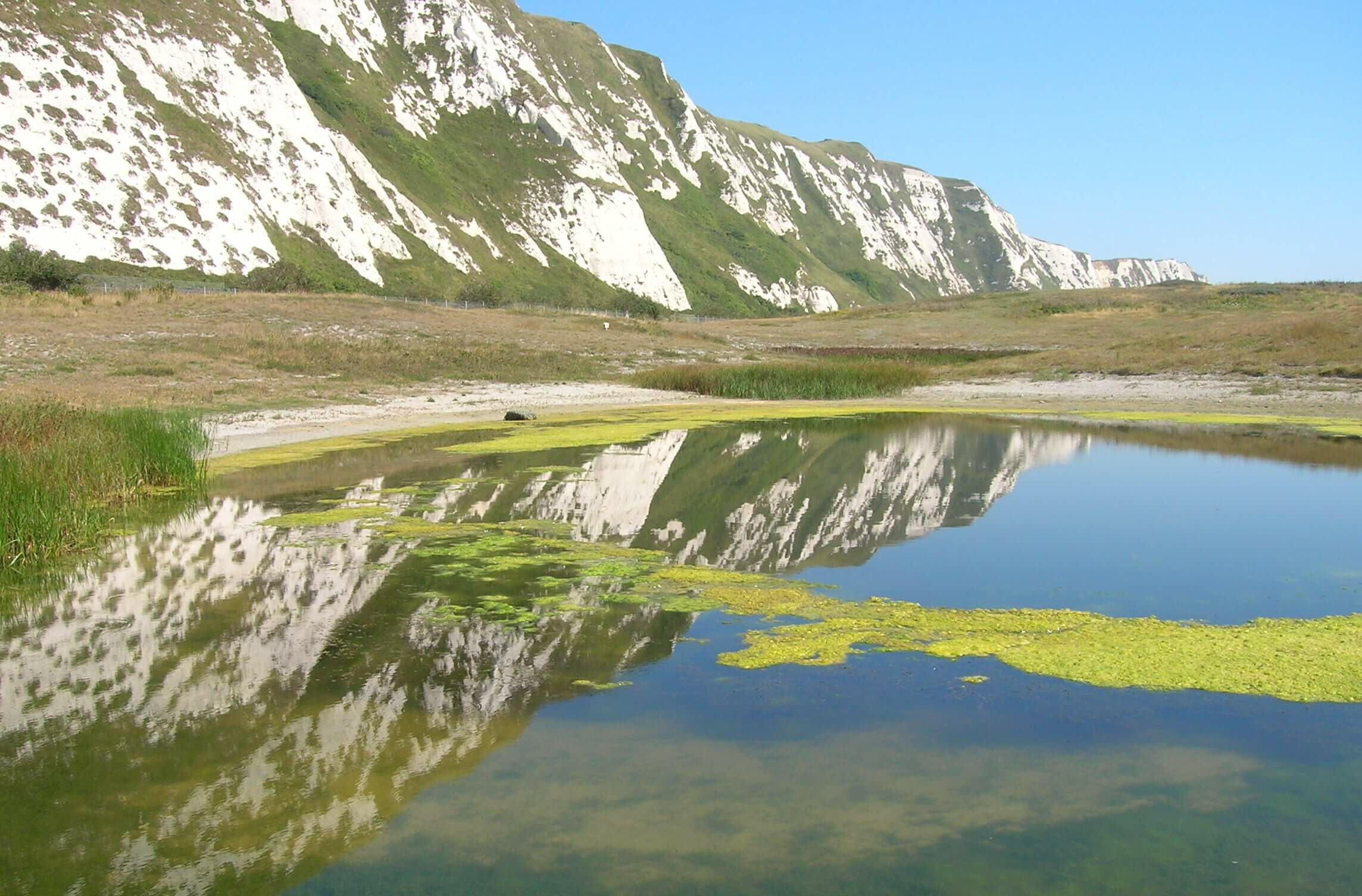 Heritage Ponds