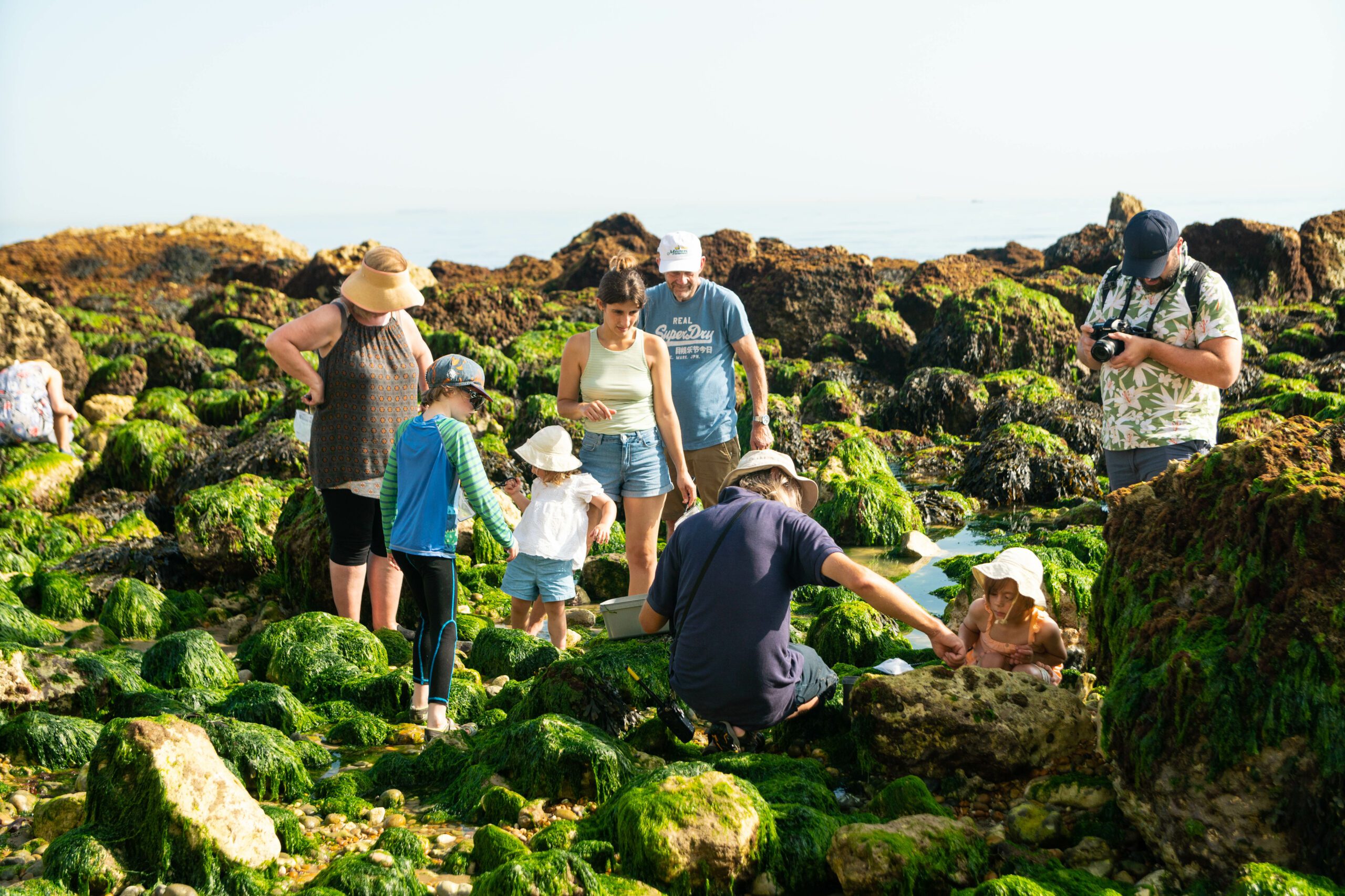 Group of people rock pooling