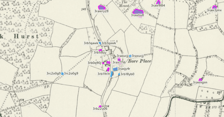 LiDAR map of Bore Place heritage ponds