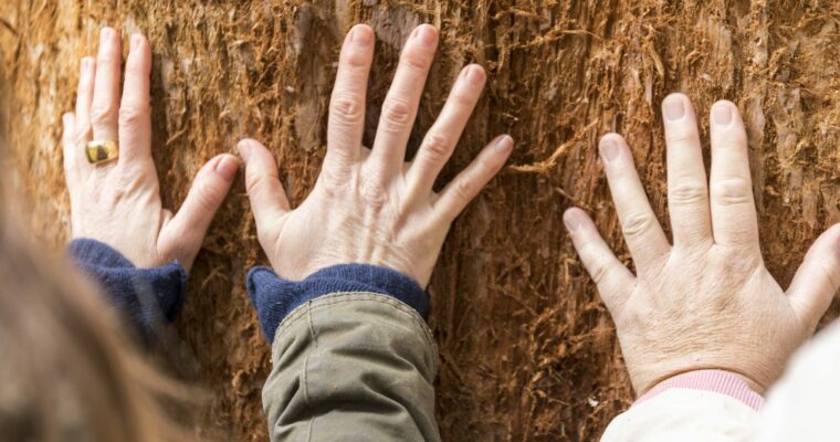 Close-up people's hands on a tree.