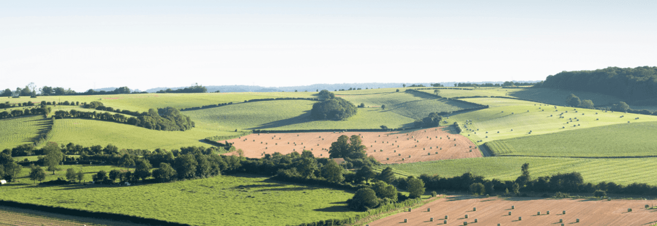 landscape with cornfields and meadows in regional parc de caps et marais d'opale in the north of france