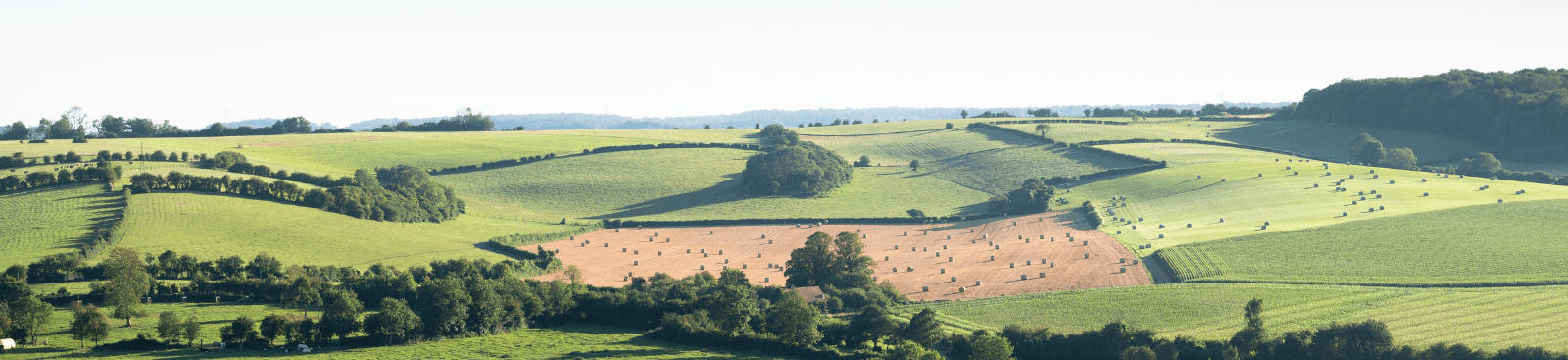 landscape with cornfields and meadows in regional parc de caps et marais d'opale in the north of france