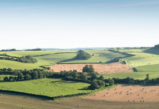 landscape with cornfields and meadows in regional parc de caps et marais d'opale in the north of france