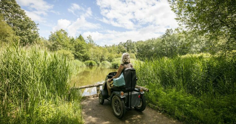 Woman in a mobility scooter looking over lake surrounded by greenery