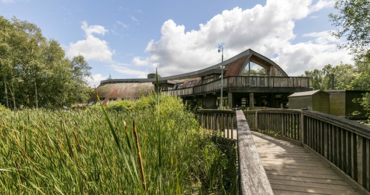 Board walk leading to wooden visitor centre with rushes