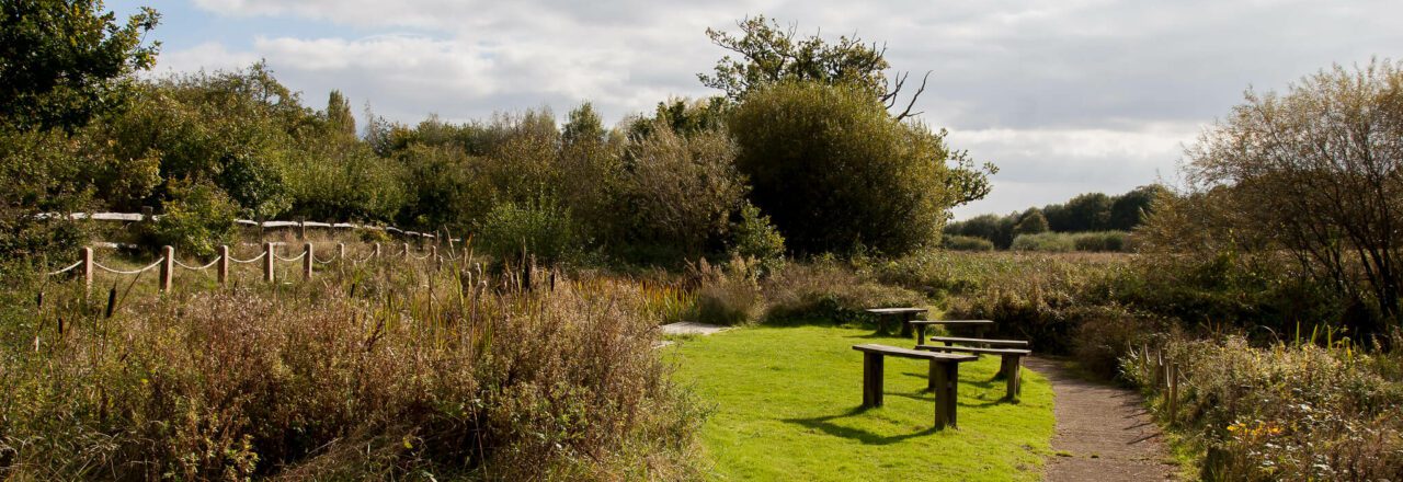 Benches on grass, with path and bushes along the edge. Trees in the distance.