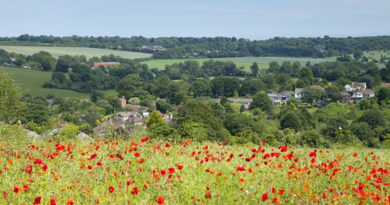 Poppy field overlooking Elham village. Trees, fields and houses in distance.