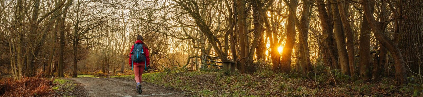 North Down Way - Otford to Cuxton