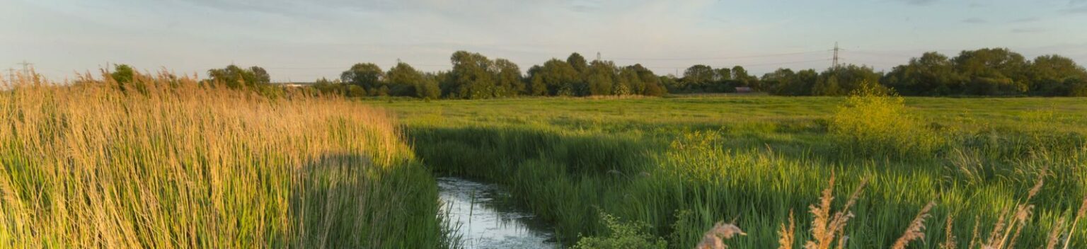 Darent Valley Rods The Darent Valley - Kent Downs