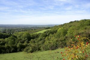 kemsing downs
