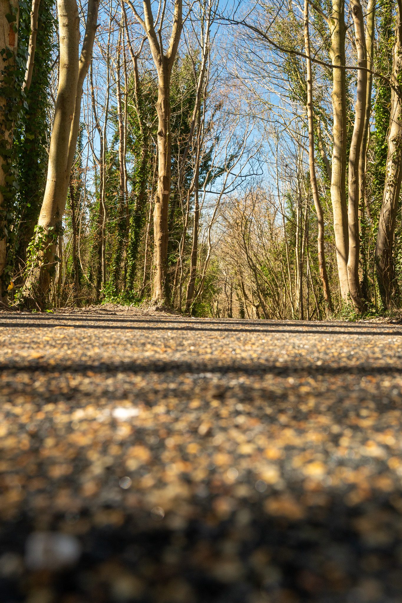 North Downs Way National Trail, Wye, Kent